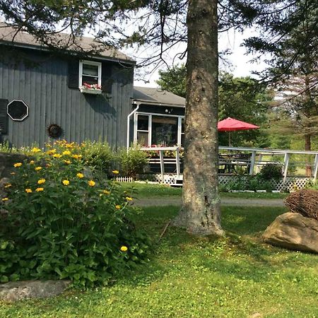Firefly Bed & Breakfast Lincoln Dış mekan fotoğraf