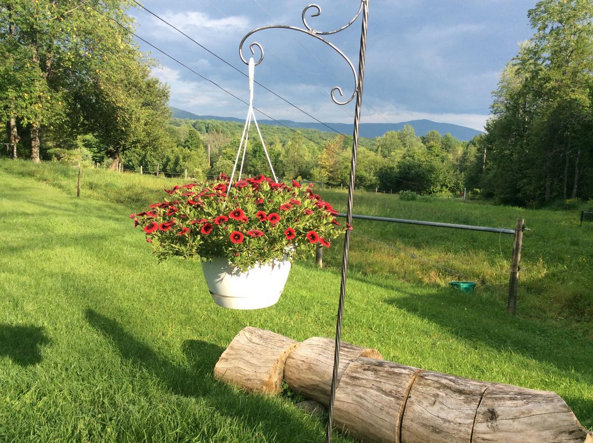 Firefly Bed & Breakfast Lincoln Dış mekan fotoğraf