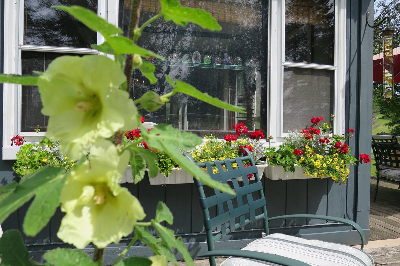 Firefly Bed & Breakfast Lincoln Dış mekan fotoğraf