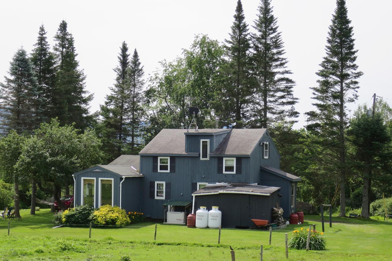 Firefly Bed & Breakfast Lincoln Dış mekan fotoğraf