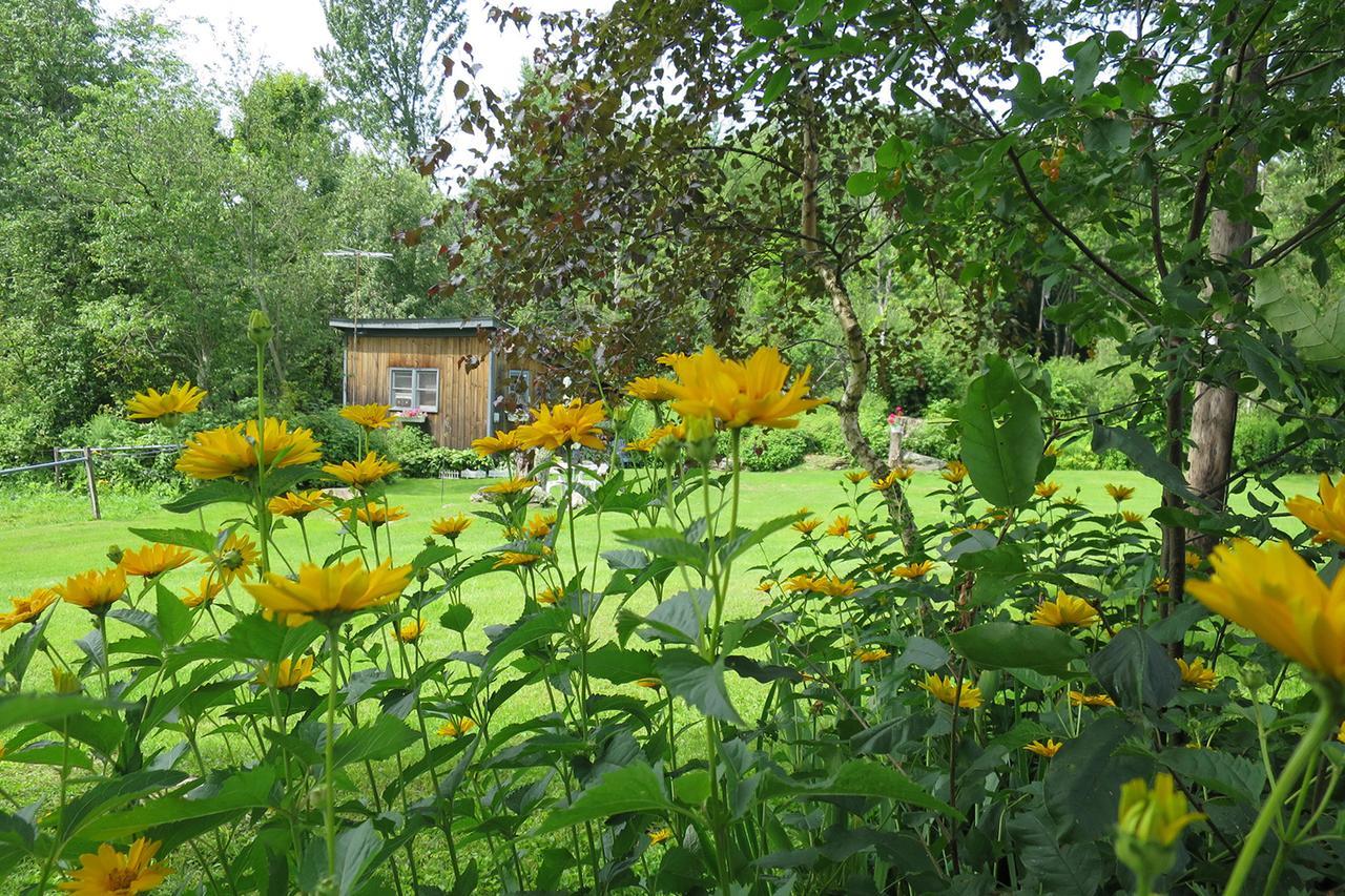 Firefly Bed & Breakfast Lincoln Dış mekan fotoğraf