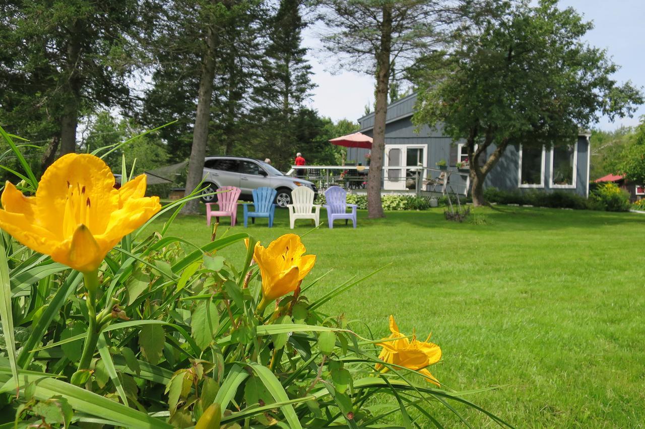 Firefly Bed & Breakfast Lincoln Dış mekan fotoğraf
