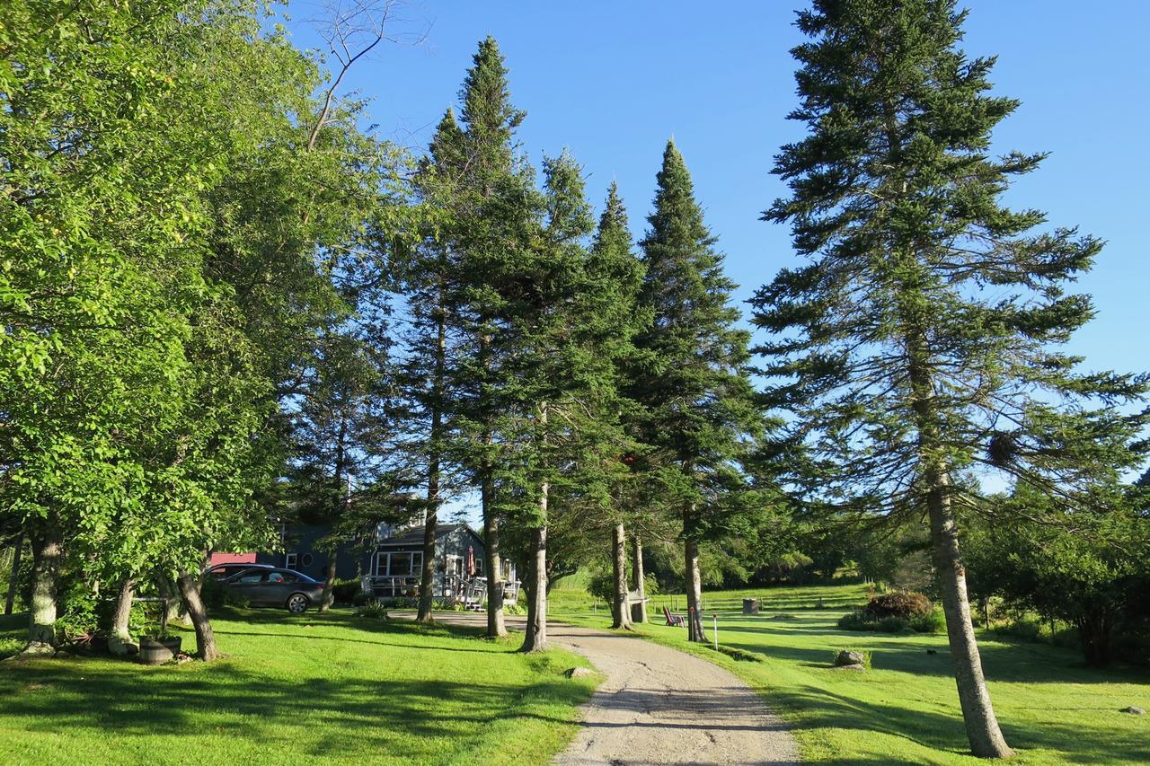 Firefly Bed & Breakfast Lincoln Dış mekan fotoğraf