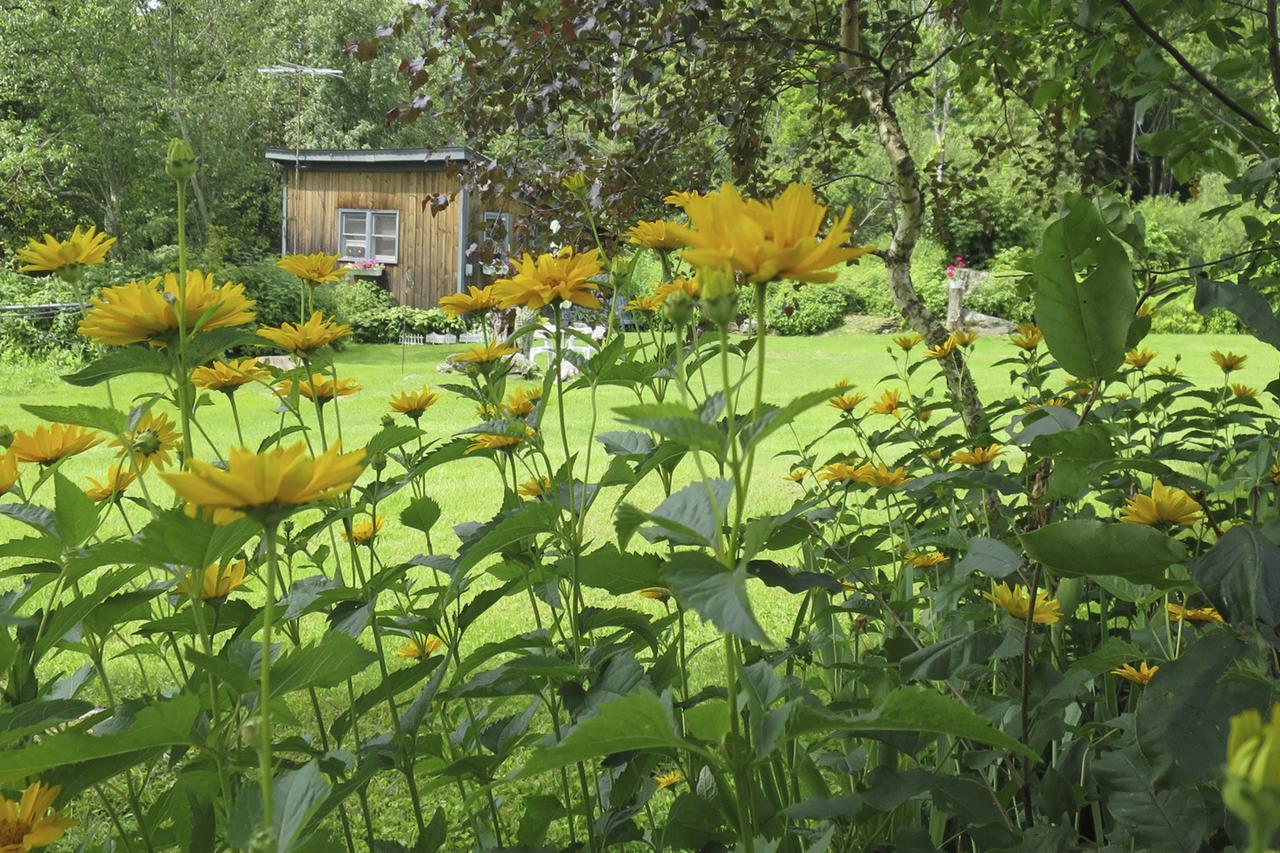 Firefly Bed & Breakfast Lincoln Dış mekan fotoğraf